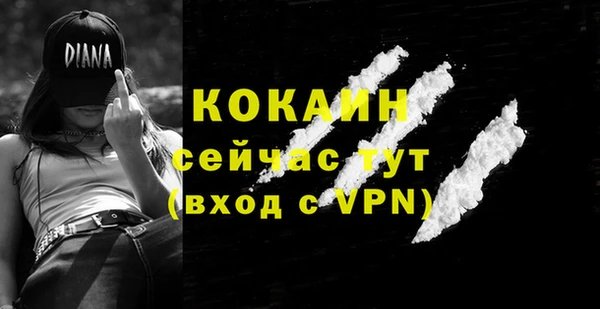 СК Волоколамск