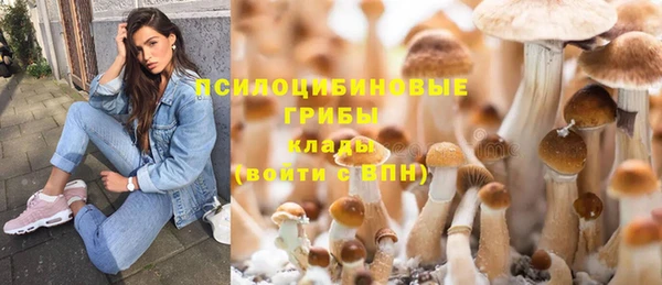 spice Вязники