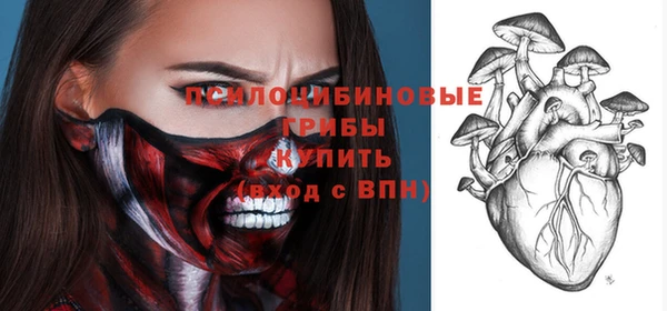 spice Вязники